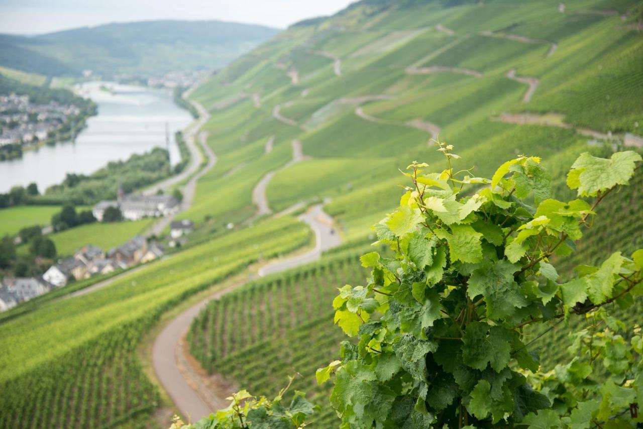 Landhaus Zum Himmelreich Graach Rom bilde